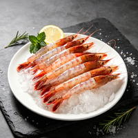 Giant Prawn